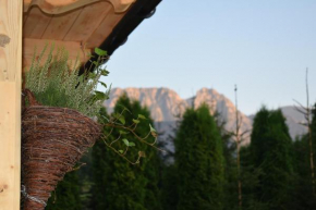 Fiedorówka Zakopane